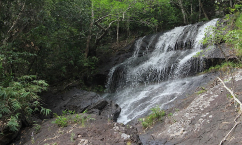 Rampa Waterfalls (Entry Fee, Timings, Location, Images)